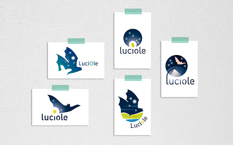 identité visuelle <br>communication <br>animation projet Luciole