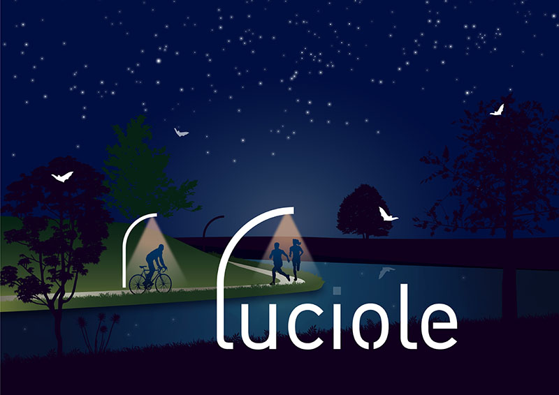 identité visuelle <br>communication <br>animation projet Luciole 2